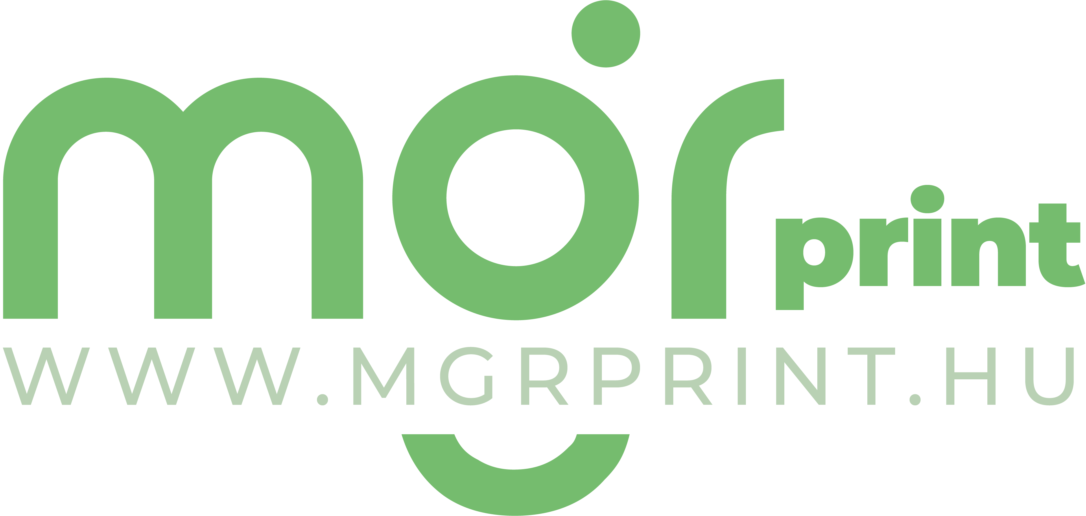 MGR VISION Pro Kft